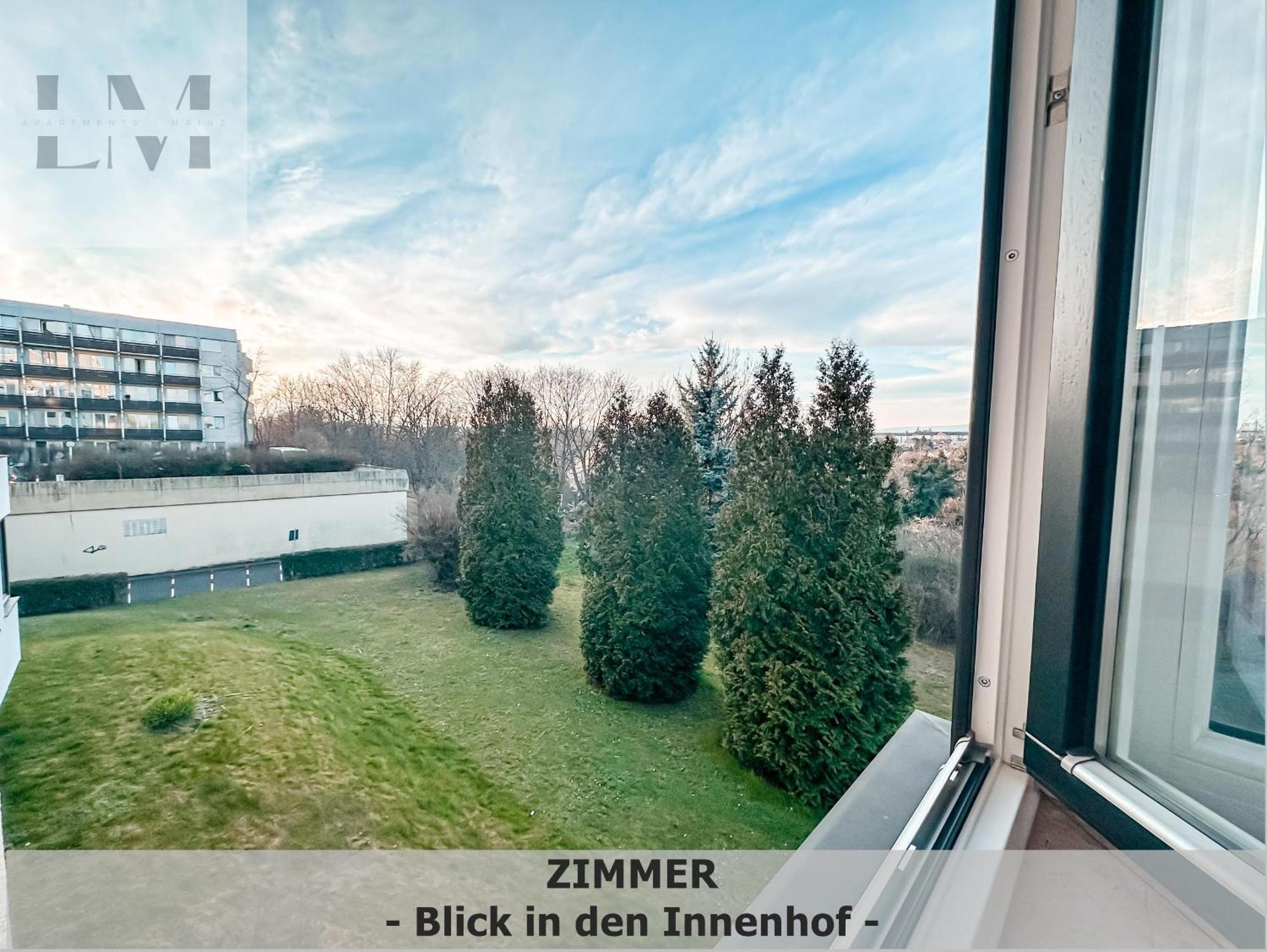Lm-Apartmentsmainz-01 المظهر الخارجي الصورة